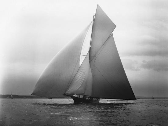 Premium Photographic Print, , large