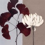 Rouge Floral 1-Ivo-Art Print