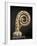 Ivo of Chartres' Carved Ivory Crozier, Curved Top from Treasury of Beauvais Cathedral-null-Framed Giclee Print