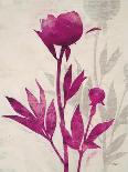 First Peony 1-Ivo Stoyanov-Art Print