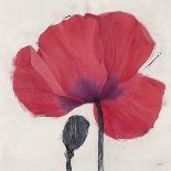 Elated Poppy-Ivo Stoyanov-Art Print