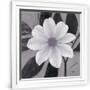 Gramercy White