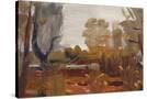 Stretched Canvas