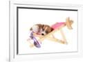 Gramercy White