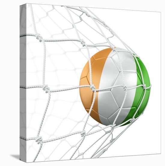 Ivoran Coast Soccer Ball in a Net-zentilia-Stretched Canvas
