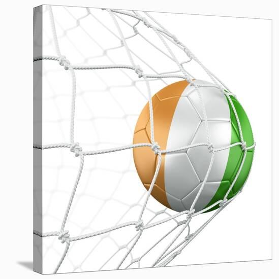 Ivoran Coast Soccer Ball in a Net-zentilia-Stretched Canvas