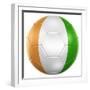 Ivoran Coast Soccer Ball-zentilia-Framed Premium Giclee Print