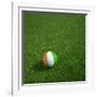 Ivorian Soccerball Lying on Grass-zentilia-Framed Art Print