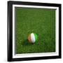 Ivorian Soccerball Lying on Grass-zentilia-Framed Art Print