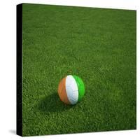 Ivorian Soccerball Lying on Grass-zentilia-Stretched Canvas