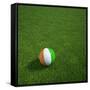 Ivorian Soccerball Lying on Grass-zentilia-Framed Stretched Canvas