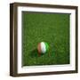 Ivorian Soccerball Lying on Grass-zentilia-Framed Art Print