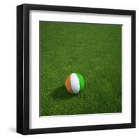 Ivorian Soccerball Lying on Grass-zentilia-Framed Art Print