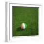 Ivorian Soccerball Lying on Grass-zentilia-Framed Art Print