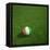 Ivorian Soccerball Lying on Grass-zentilia-Framed Stretched Canvas