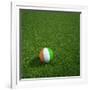 Ivorian Soccerball Lying on Grass-zentilia-Framed Art Print