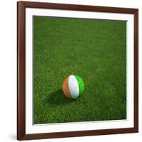 Ivorian Soccerball Lying on Grass-zentilia-Framed Art Print