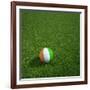 Ivorian Soccerball Lying on Grass-zentilia-Framed Art Print