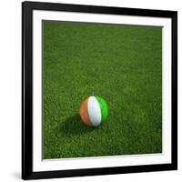 Ivorian Soccerball Lying on Grass-zentilia-Framed Art Print