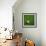 Ivorian Soccerball Lying on Grass-zentilia-Framed Art Print displayed on a wall