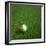 Ivorian Soccerball Lying on Grass-zentilia-Framed Art Print