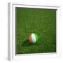 Ivorian Soccerball Lying on Grass-zentilia-Framed Art Print