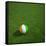 Ivorian Soccerball Lying on Grass-zentilia-Framed Stretched Canvas