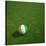 Ivorian Soccerball Lying on Grass-zentilia-Stretched Canvas