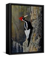 Ivory Bill-Wilhelm Goebel-Framed Stretched Canvas