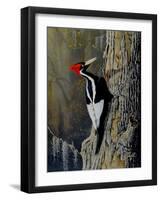 Ivory Bill-Wilhelm Goebel-Framed Giclee Print