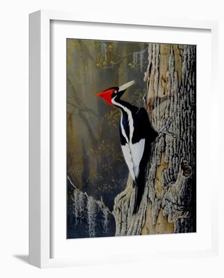 Ivory Bill-Wilhelm Goebel-Framed Giclee Print