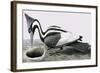 Ivory-Billed Woodpecker-R. B. Davis-Framed Giclee Print