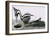 Ivory-Billed Woodpecker-R. B. Davis-Framed Giclee Print