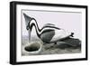 Ivory-Billed Woodpecker-R. B. Davis-Framed Giclee Print