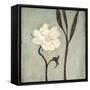 Ivory Bloom-Ivo-Framed Stretched Canvas