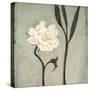 Ivory Bloom-Ivo-Stretched Canvas