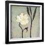 Ivory Bloom-Ivo-Framed Art Print