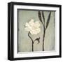 Ivory Bloom-Ivo-Framed Art Print