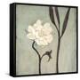 Ivory Bloom-Ivo-Framed Stretched Canvas