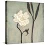 Ivory Bloom-Ivo-Stretched Canvas