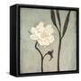 Ivory Bloom-Ivo-Framed Stretched Canvas