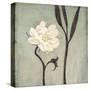 Ivory Bloom-Ivo-Stretched Canvas