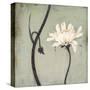 Ivory Blossom-Ivo-Stretched Canvas