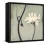 Ivory Blossom-Ivo-Framed Stretched Canvas