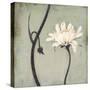 Ivory Blossom-Ivo-Stretched Canvas