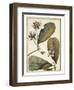 Ivory Botanical Study III-Vision Studio-Framed Art Print