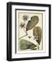 Ivory Botanical Study III-Vision Studio-Framed Art Print