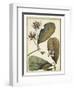 Ivory Botanical Study III-Vision Studio-Framed Art Print