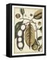 Ivory Botanical Study V-Vision Studio-Framed Stretched Canvas