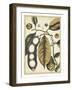 Ivory Botanical Study V-Vision Studio-Framed Art Print